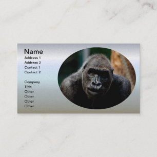 Carte De Visite Singe Primate