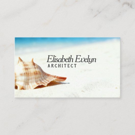Carte De Visite Single Shell on Sun-Kissed Sands (Devant)