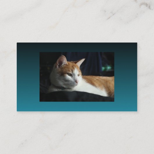 Carte de visite Sitter Cat (Dos)