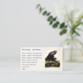 Carte De Visite Skunk américaine commune ou Striped Skunk, par Aud (Debout devant)