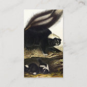 Carte De Visite Skunk américaine commune ou Striped Skunk, par Aud (Dos)