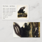 Carte De Visite Skunk américaine commune ou Striped Skunk, par Aud (Devant / Derrière)