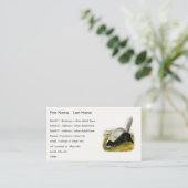 Carte De Visite Skunk (Texan Skunk) Audubon's Quadrupeds (Debout devant)