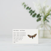 Carte De Visite Smerinthus ocellata - Eyed Hawk-Moth Image couleur (Debout devant)