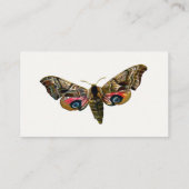 Carte De Visite Smerinthus ocellata - Eyed Hawk-Moth Image couleur (Dos)