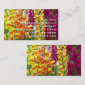 Carte De Visite Snapdragons colorés floraux (Devant / Derrière)