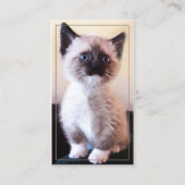 Carte De Visite Soin animal professionnel avec photo remplaçable (Devant)