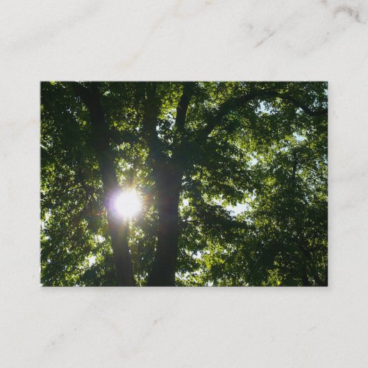 Carte De Visite Soleil brillant à travers les arbres (Devant)