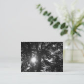 Carte De Visite Soleil brillant à travers les arbres B&W (Debout devant)