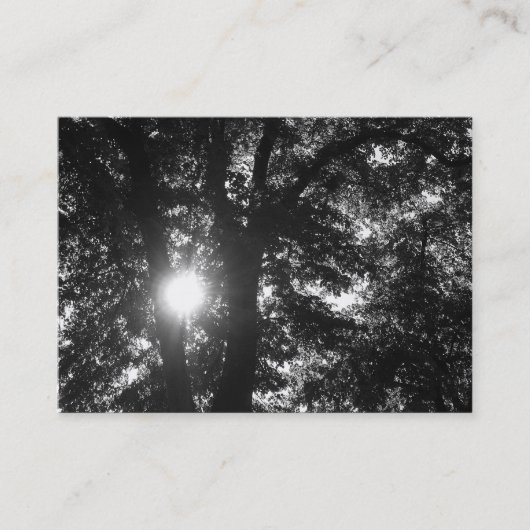 Carte De Visite Soleil brillant à travers les arbres B&W (Devant)
