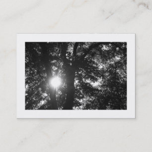 Carte De Visite Soleil brillant à travers les arbres B&W