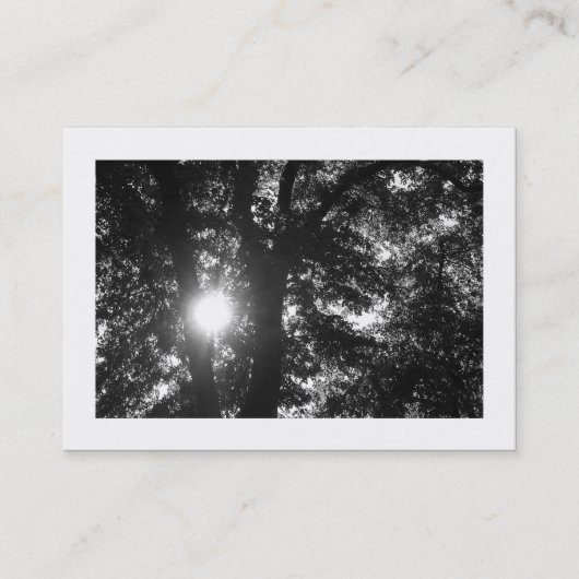 Carte De Visite Soleil brillant à travers les arbres B&W (Devant)