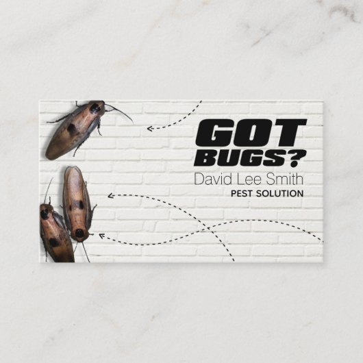 Carte De Visite Solution pour animaux (Devant)