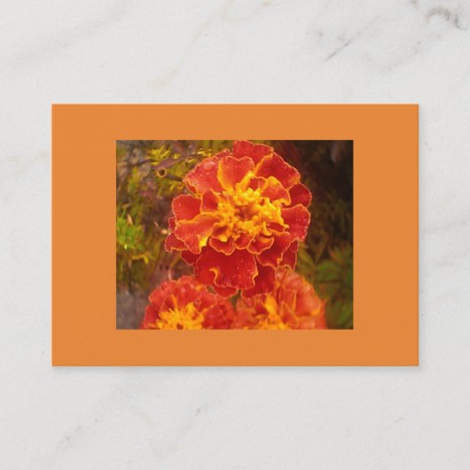 Carte De Visite Soucis orange (Devant)