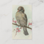 Carte De Visite Sparrow Vintage (Dos)