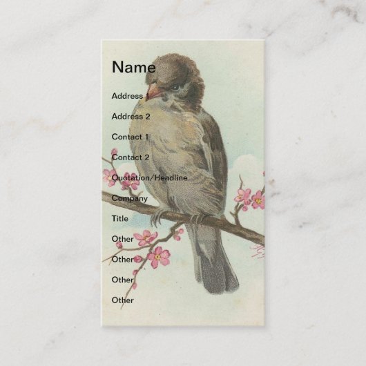 Carte De Visite Sparrow Vintage (Devant)