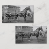 Carte De Visite Spectacle Cheval vintage (Devant / Derrière)