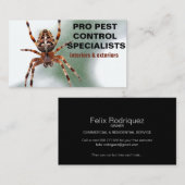 Carte De Visite Spider Photo Service de lutte antiparasitaire (Devant / Derrière)