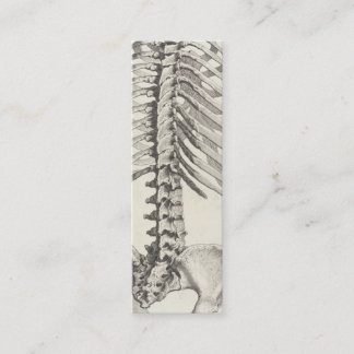 Carte de visite spinal