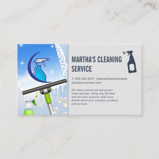 Carte De Visite Spray Cleaning Logo | Window Squeegee Soap | Maid (Devant)