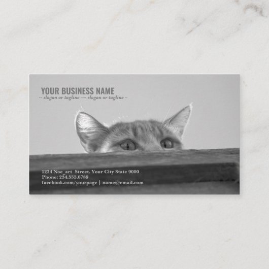 Carte De Visite Spy Cat (Dos)