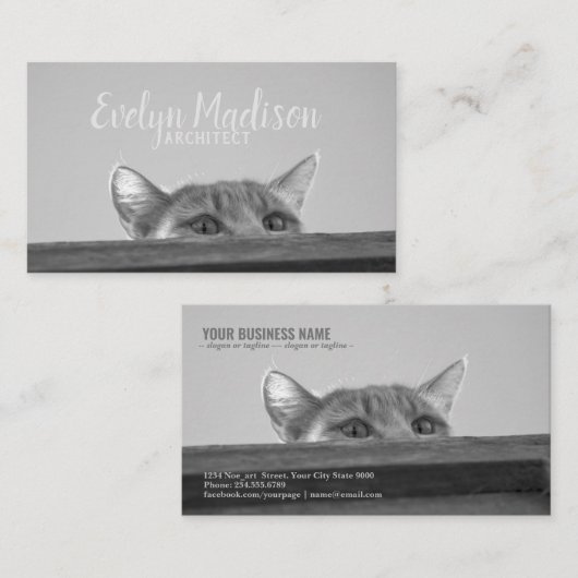 Carte De Visite Spy Cat (Devant / Derrière)