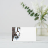 Carte De Visite Squirrel in a Pine Tree Business Cards (Debout devant)