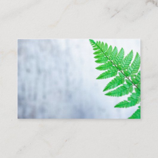 Carte De Visite Standard, 8,5 x 5,5 cm (Dos)