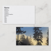 Carte De Visite Stanley Park, bois, couche marine brouillard roula (Devant / Derrière)