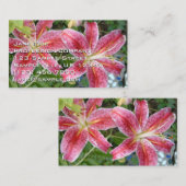 Carte De Visite Stargazer Lilies Jardin Floral (Devant / Derrière)