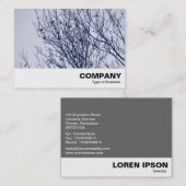 Carte De Visite Starlings dans un arbre (Devant / Derrière)