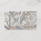 Carte De Visite Statues du cimetière Vases (Dos)