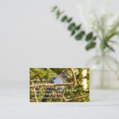 Carte De Visite Steller's Jay at Rocky Mountain National Park (Debout devant)