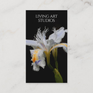 Carte De Visite Studios vivants d'art d'iris élégant/photographe