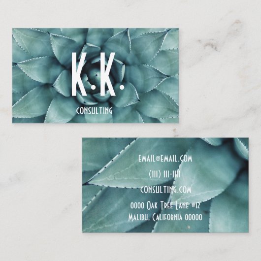 carte de visite succulent (Devant / Derrière)