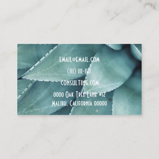 carte de visite succulent (Dos)