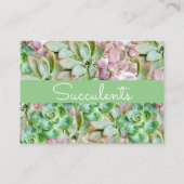 Carte De Visite Succulent coloré (Devant)