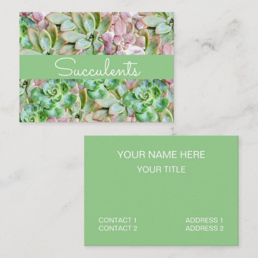 Carte De Visite Succulent coloré (Devant / Derrière)
