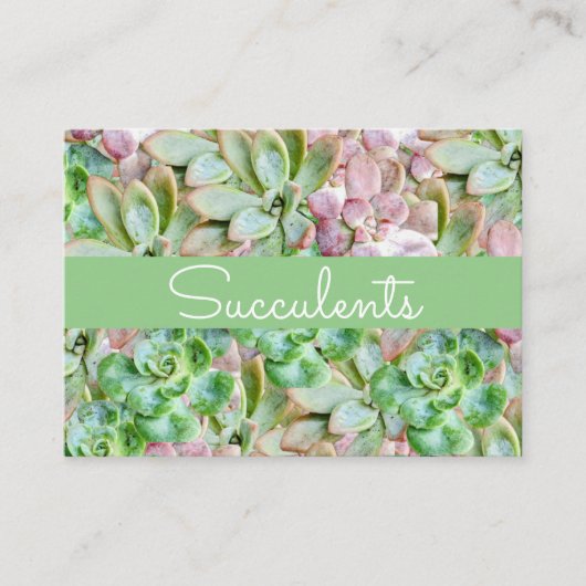 Carte De Visite Succulente Colorée (Devant)