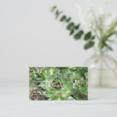 Carte De Visite Succulents (Debout devant)