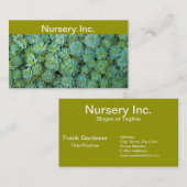 Carte De Visite Succulents - plante Echeveria (Devant / Derrière)