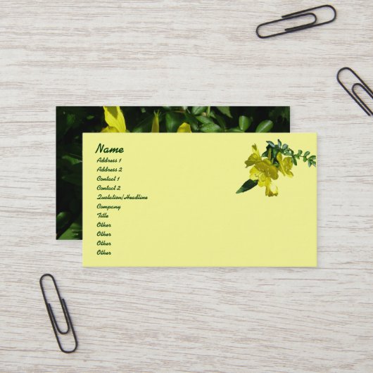 Carte de visite Sundrops Primrose Series (Devant/Arrière en situation)