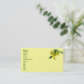 Carte de visite Sundrops Primrose Series (Debout devant)