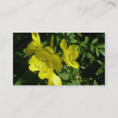 Carte de visite Sundrops Primrose Series (Dos)