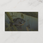 Carte De Visite Sunfish de Redear (Dos)