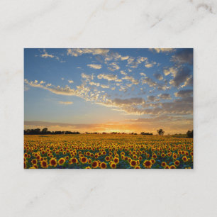 Carte de visite Sunflowers 2