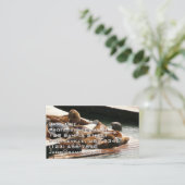 Carte De Visite Sunning Lions à San Francisco (Debout devant)