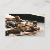 Carte De Visite Sunning Lions à San Francisco (Dos)