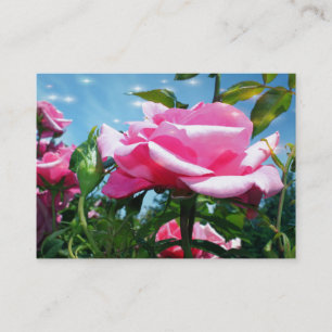 Carte De Visite Superbes fleurs rose rose dans le profil bleu ciel