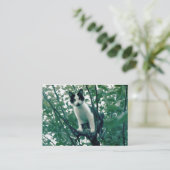 Carte De Visite Superfluence de la méchanceté (Debout devant)